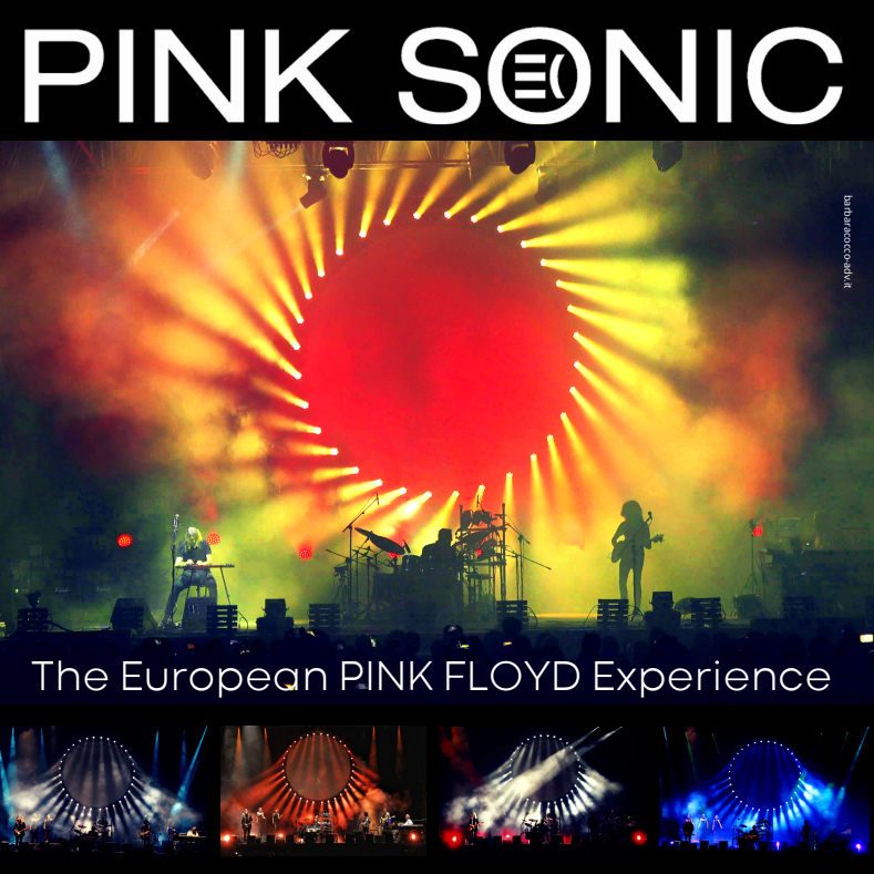 PINK SONIC